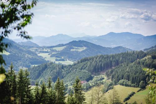 Gasthof Oberer Gesslbauer