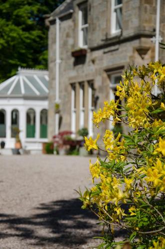 Ravenscourt House, Guest House