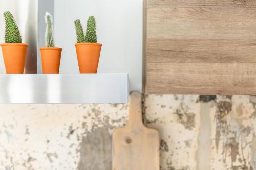 Fruit of the City - R.Q.C. - image 4