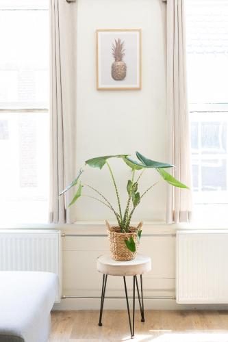 Fruit of the City - R.Q.C. - main image