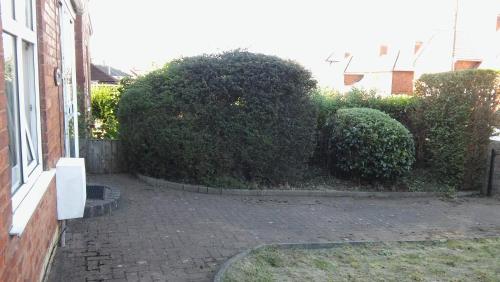Willodean - image 11