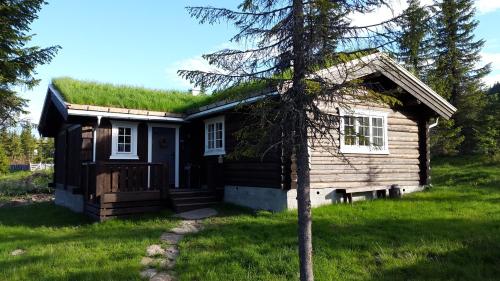 Koselig familiehytte sentralt på Skeikampen til leie - Accommodation - Svingvoll