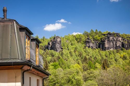 Hotel Ostrov - image 14