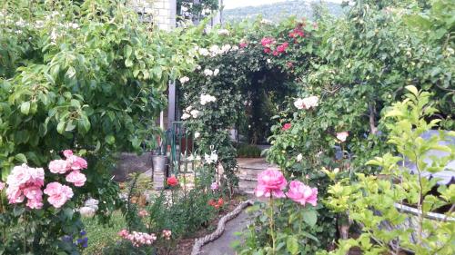  Apartments Frkovic in Ledenice