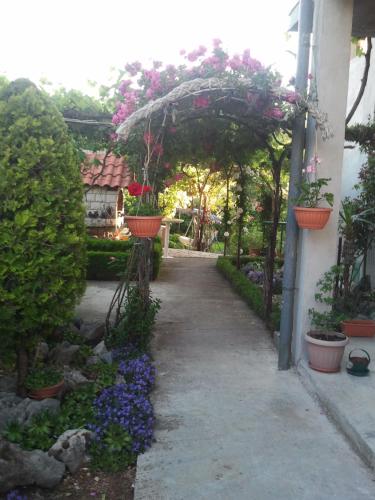  Apartments Frkovic in Ledenice