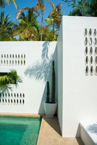 155650576 Residencia Tropical Don Bonito