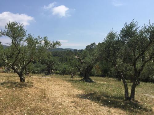 Gîte L'instant, pleine nature