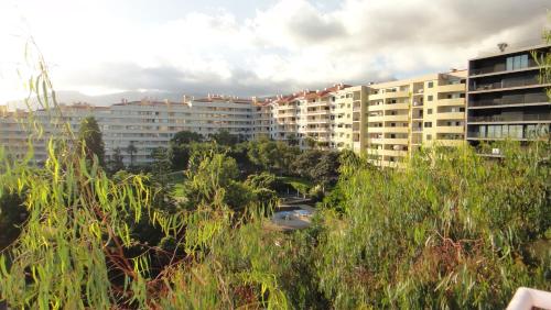  Ajuda Apartament - Funchal in Funchal