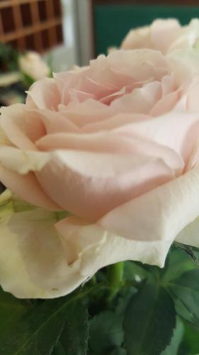 Hotel Ristorante Umbria - image 14