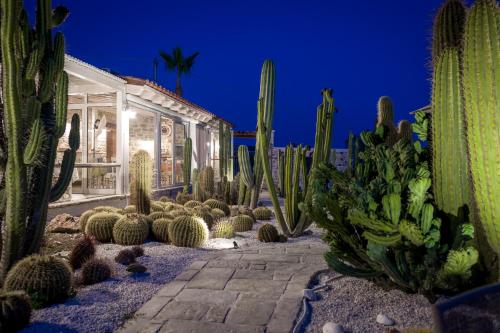 Garden Cactus