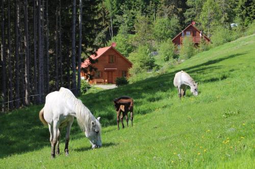  Karawankenpanorama EG in Grassendorf