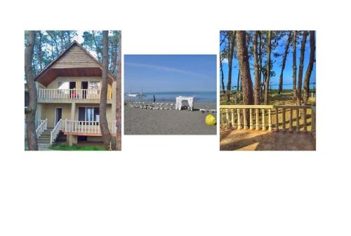 Beach View House