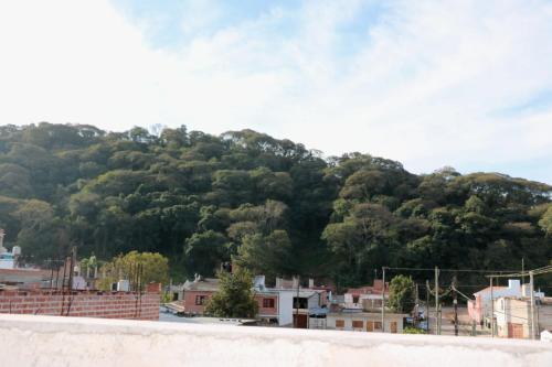 Surrounding environment, Jujuy-preyungas in Barrio Chijra