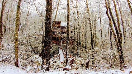 Creek Song Cabin - image 14