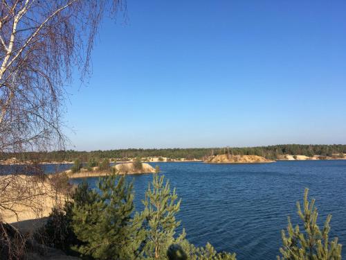 Surrounding environment, Appartment Maggy in Bad Liebenwerda