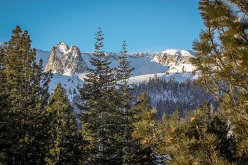 Snowflower 20 - image 3
