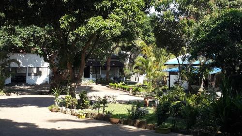 Jardin, Joao's Place in Bilene