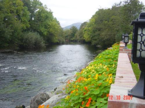 Crystal Springs B&B - image 7
