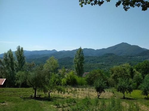 Agripodere Il Falco - image 3