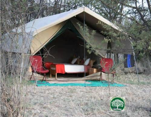 Greenwood Wild Camping