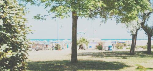 Hotel Sandra - image 5