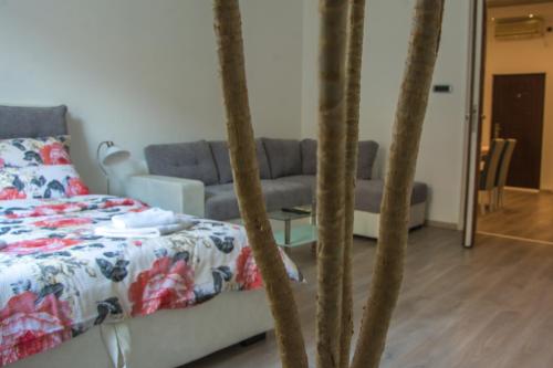 Apartment Petra 072 - image 2