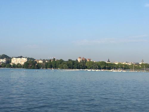 le Perchoir du Lac - image 14