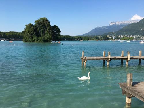 le Perchoir du Lac - image 7