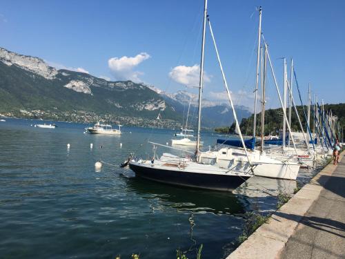 le Perchoir du Lac - image 14
