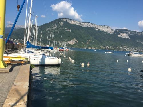 le Perchoir du Lac - image 8