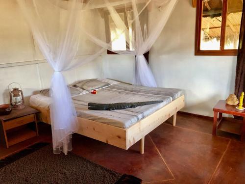 Amboseli Eco Camp in Amboseli