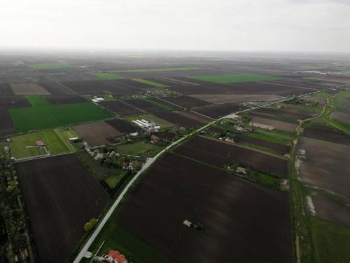 Salaš Farma 47-Miris Dunja - image 10