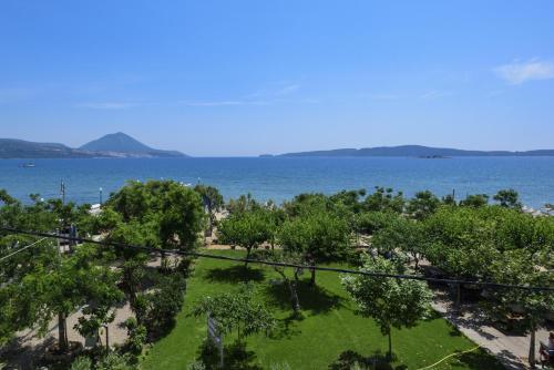 Zoe Seaside Resort - main image