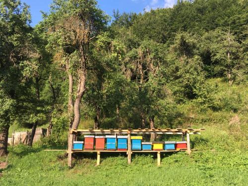 Guest House Ulaj - image 8