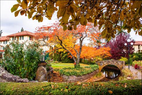 Columbia Gorge Hotel & Spa - image 6