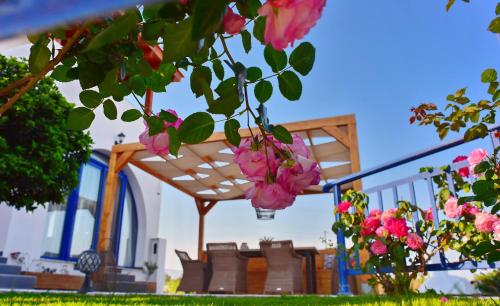 Villa Rose on the beach