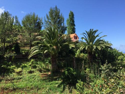 Casa d'Olívia, Porto da Cruz