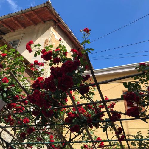  Apartmani Banina in 51414 Ika