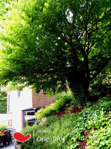  La chambre 571 in Aywaille