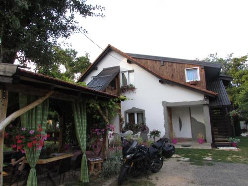  Studio apartments Žućo in Irinovac