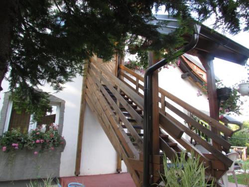  Studio apartments Žućo in Irinovac