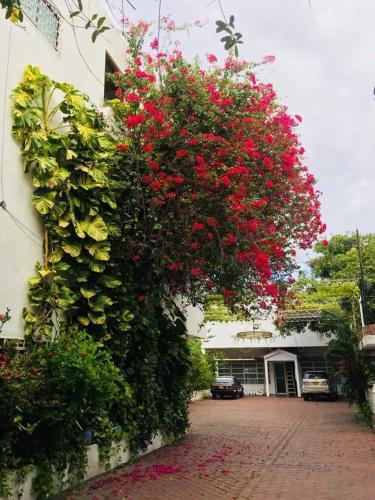 Hotel Pijao