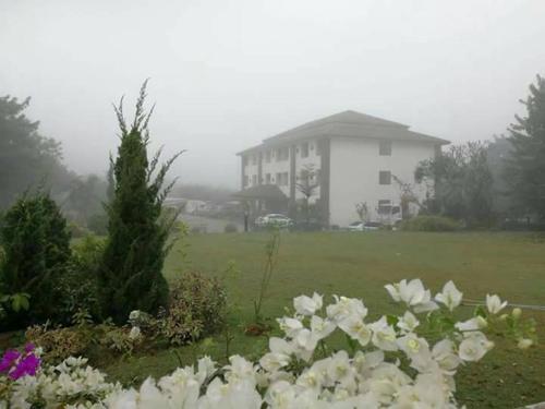 Ing Loei Place ( Ing Loei Place )