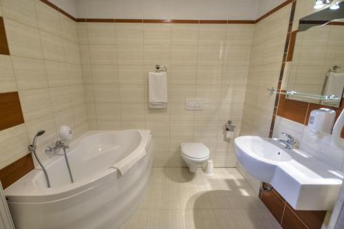 Hotel Borowianka