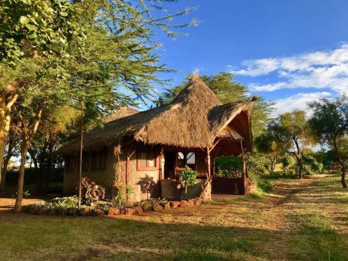 Amboseli Eco Camp