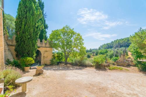 La Bisbal - image 3