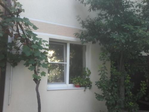 Guest House Turist - image 4