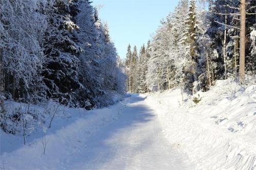 Hiking Cabin in Salen