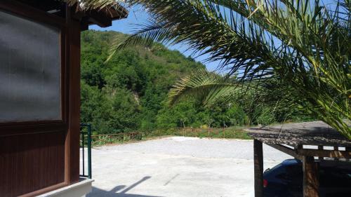 Palia's Hotel - image 12