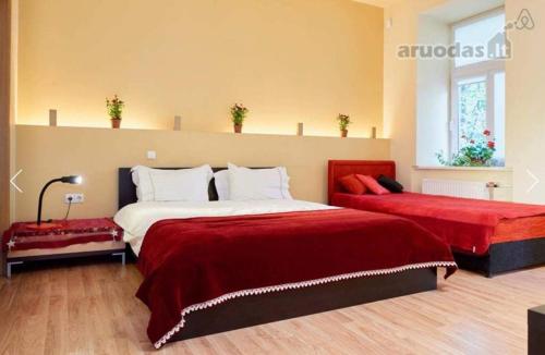 

Apartment Gedimino 43